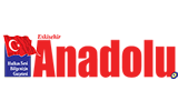  Anadolu Gazetesi