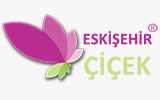 Eskiehir iek Gnderme